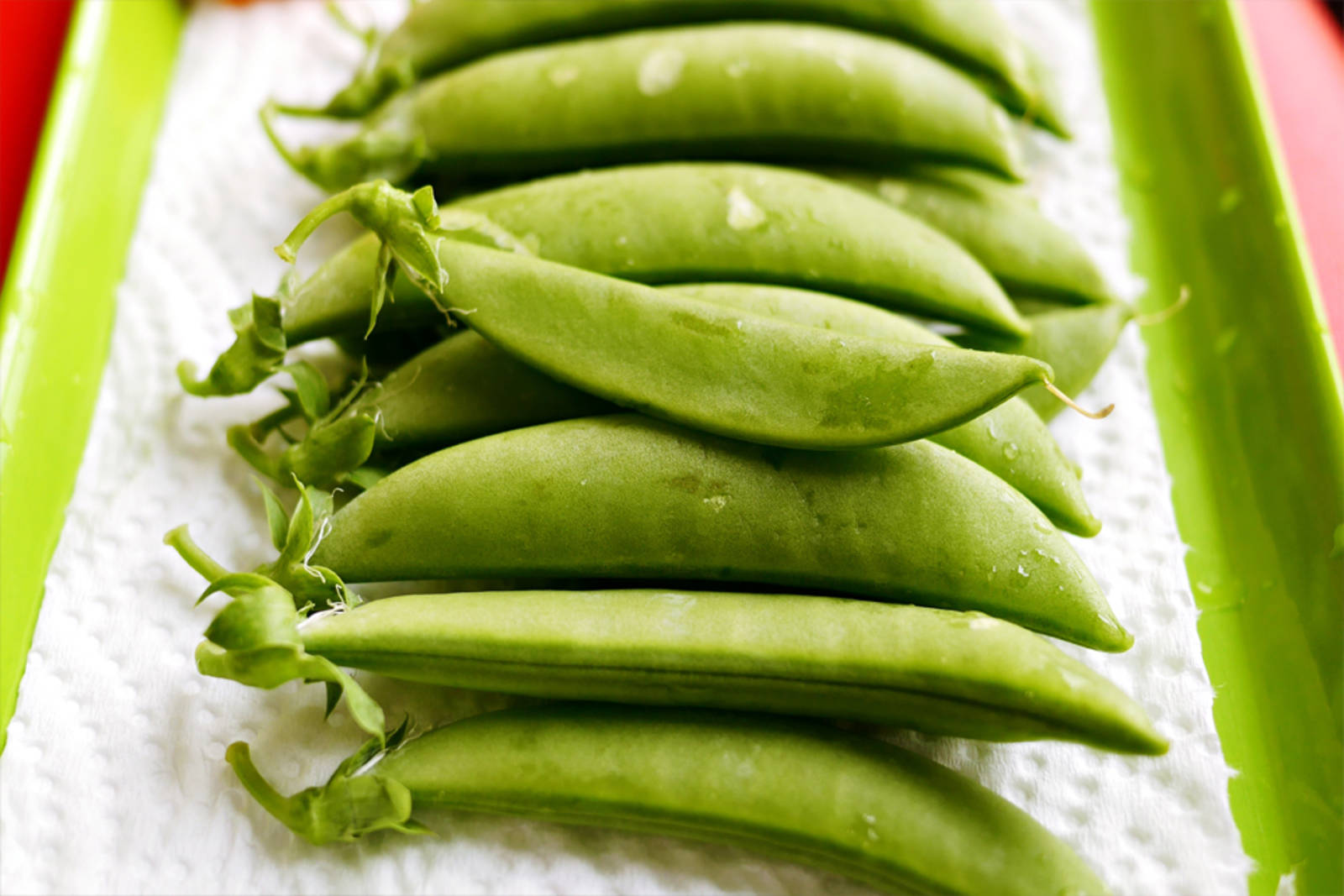 豆豆好處多-餐桌上的科學(四)