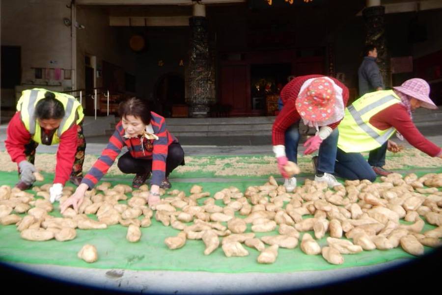 蘿蔔成金，灣雅社區的故事