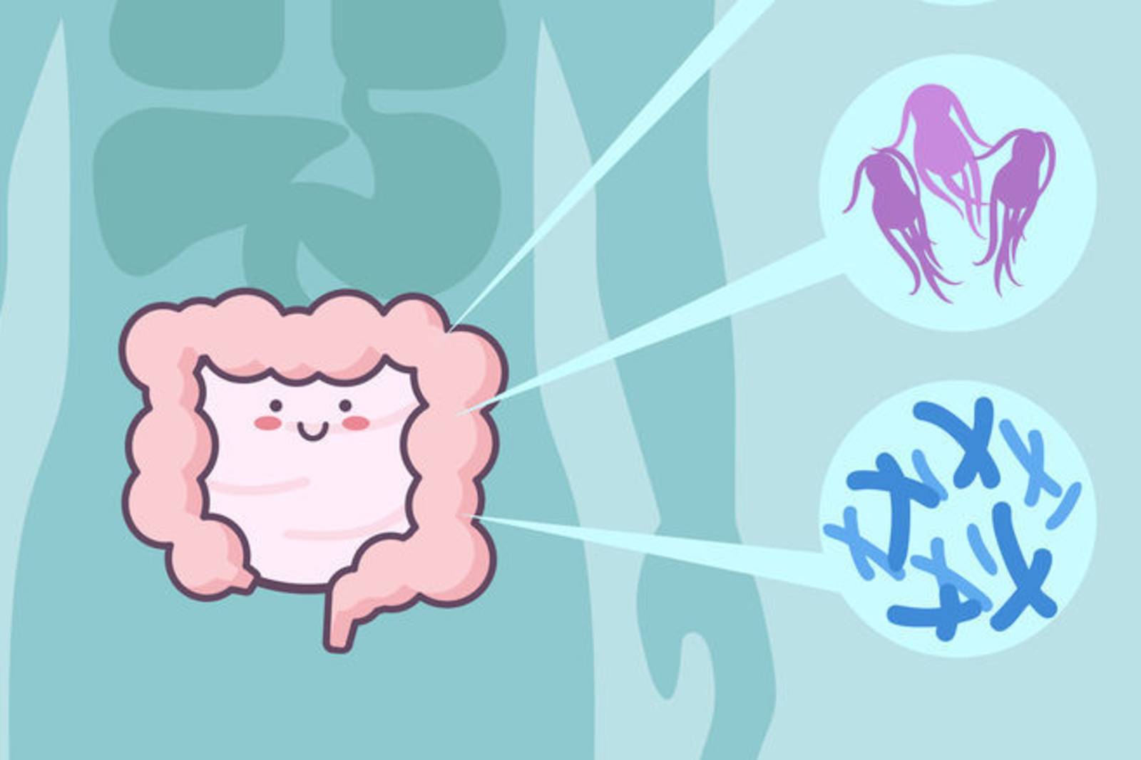 地球上的好微生物