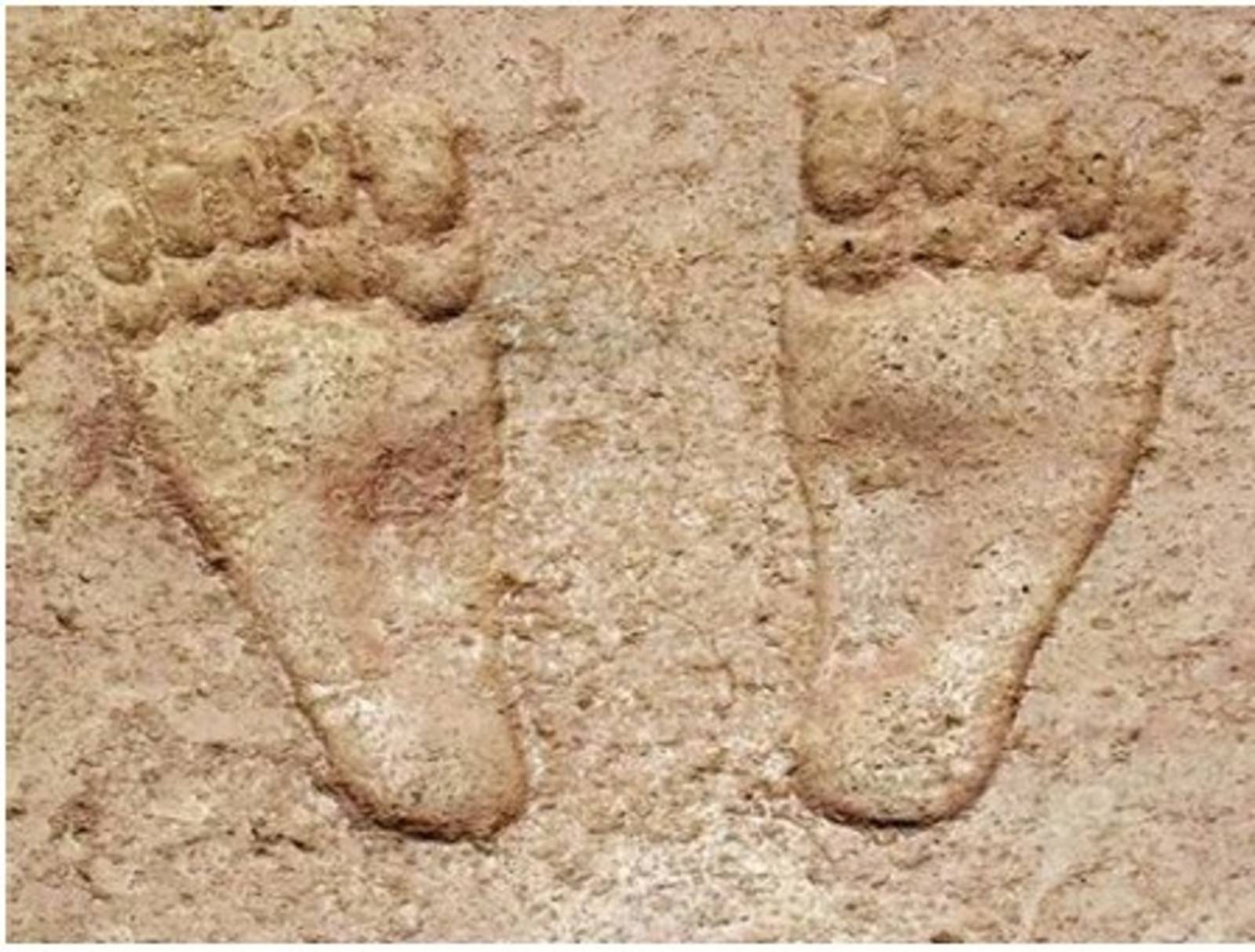 微小的巨人 神聖卻又世俗