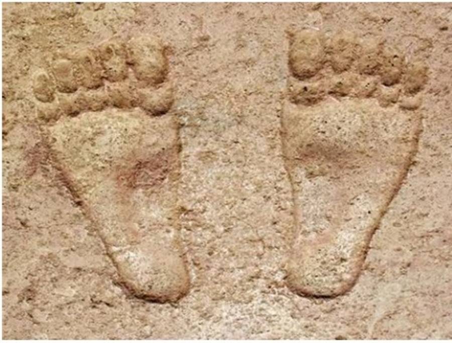 微小的巨人 神聖卻又世俗