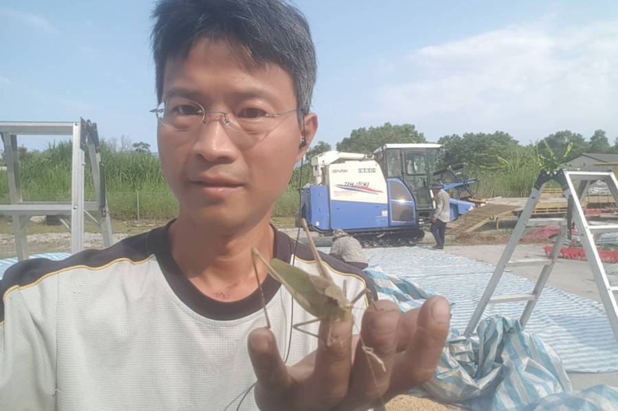 青年農夫桃園來築無毒夢