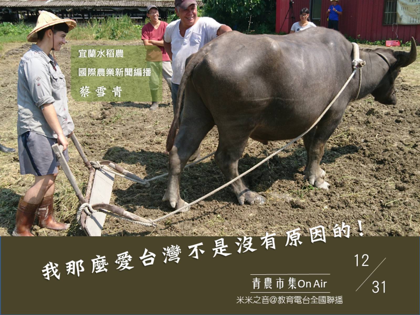 我那麼愛台灣不是沒有原因的