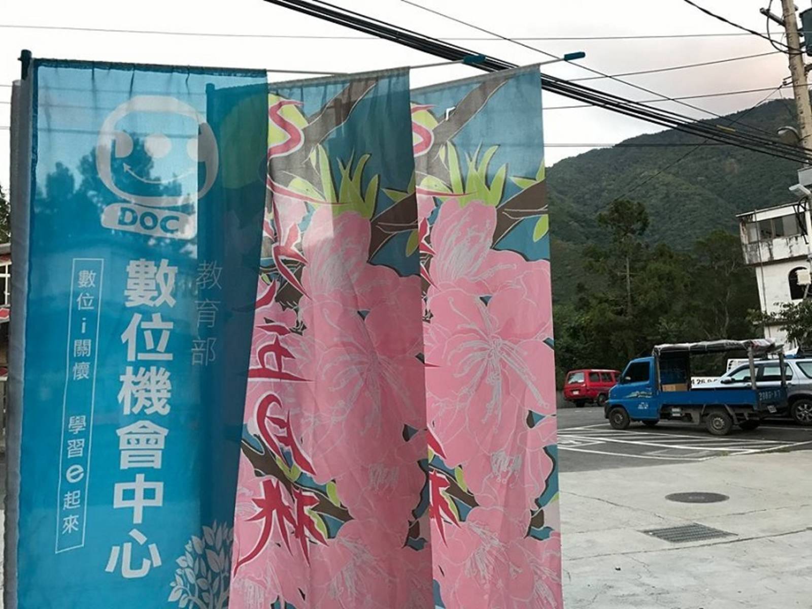 桃園復興DOC三光五月桃