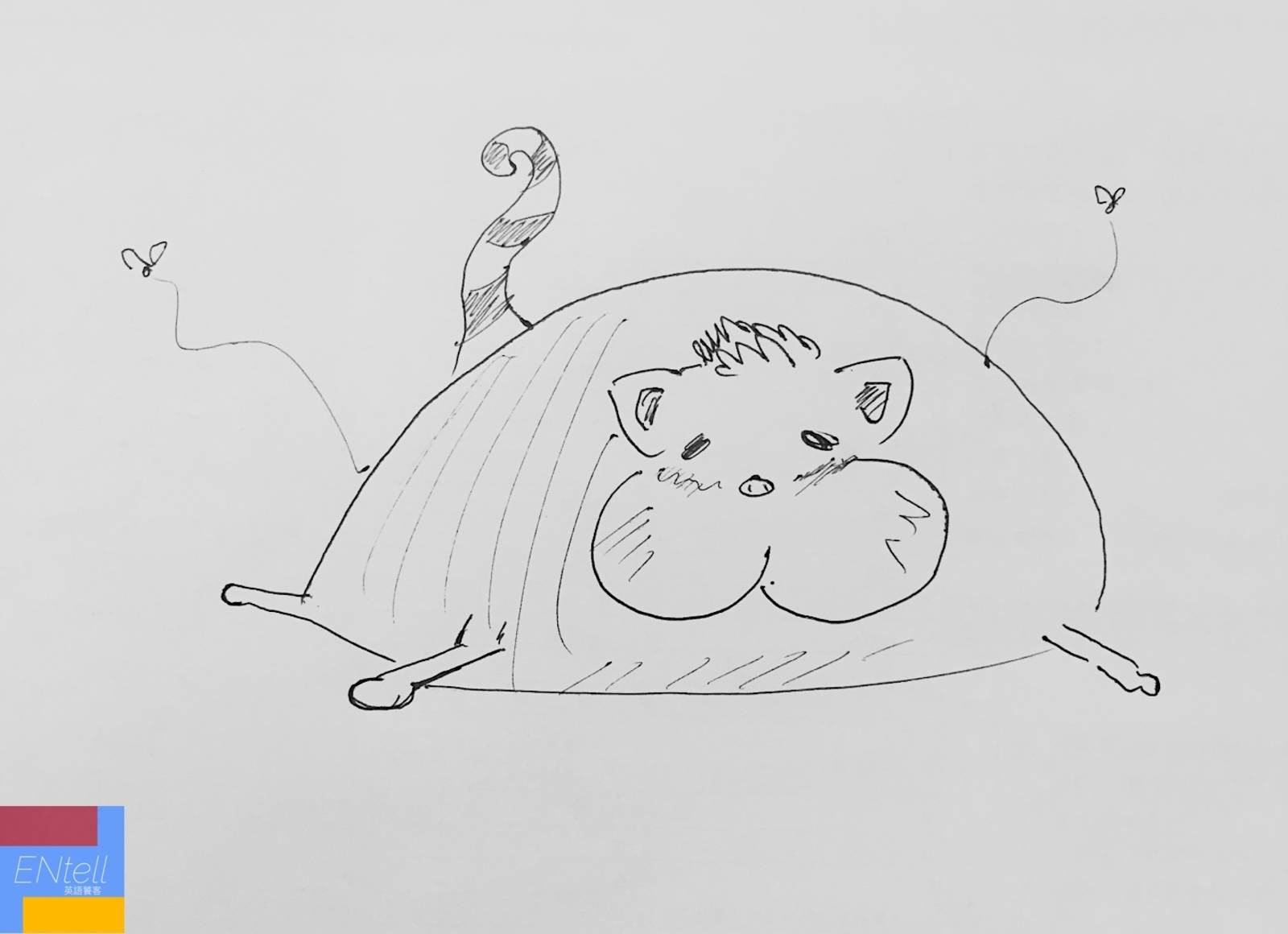 寵物大不同！Pets pt.1 