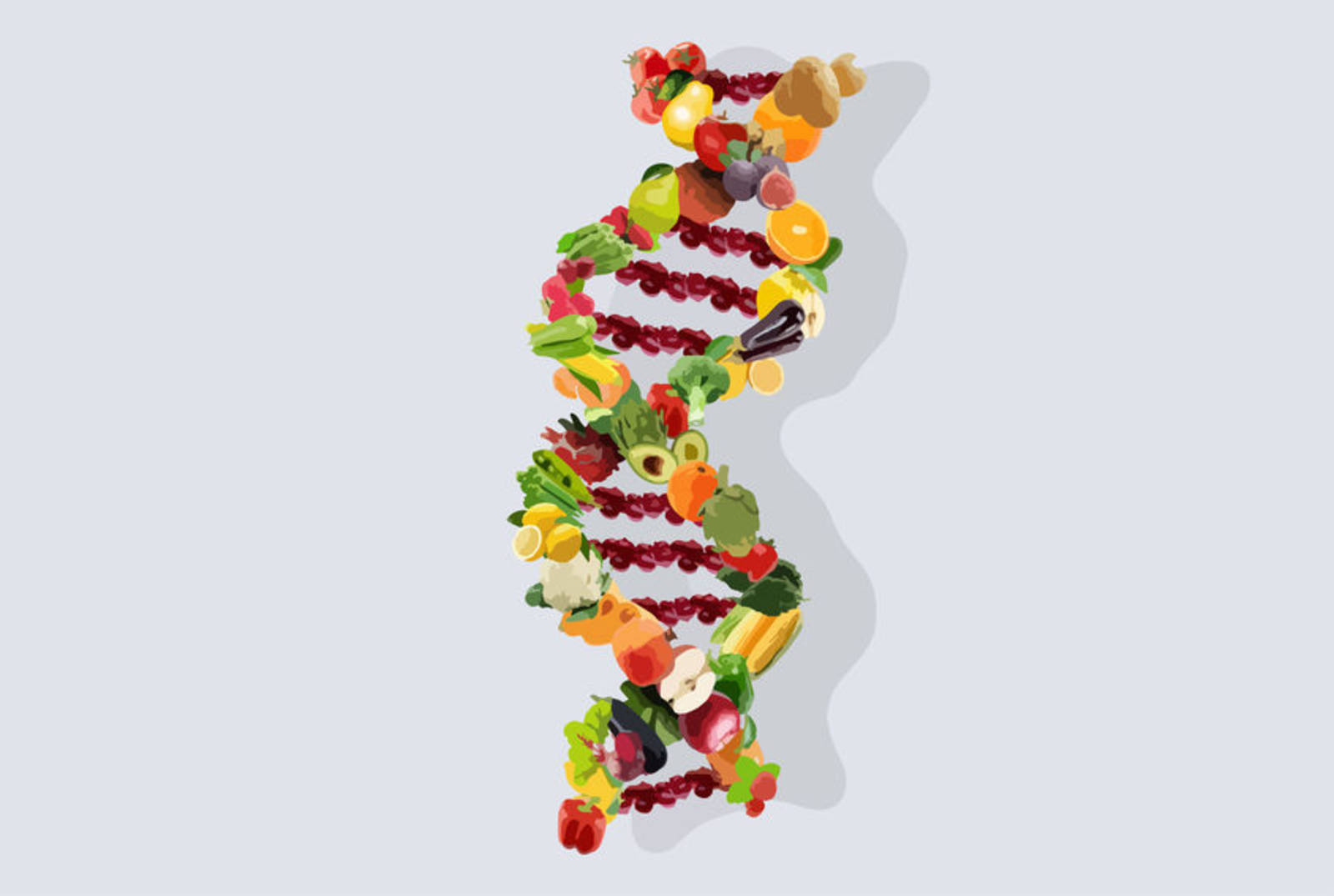 什麼是基因改造食物?