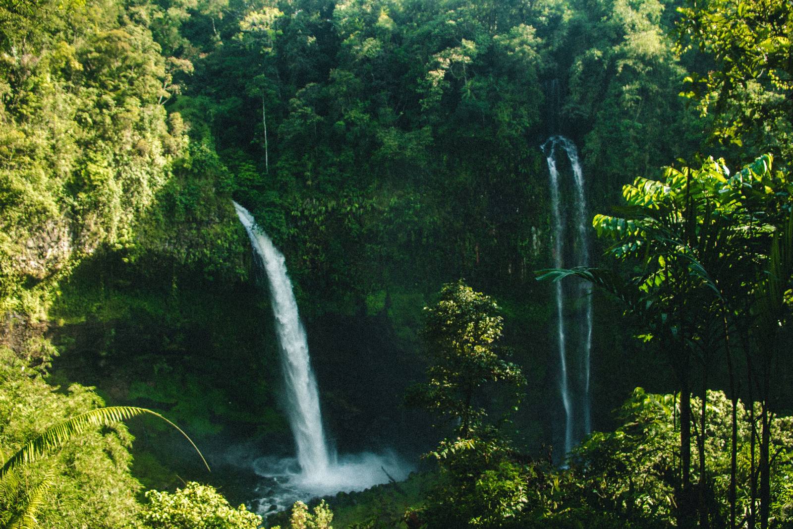 Kancil Yang Cerdik(聰明的鼷鹿)
