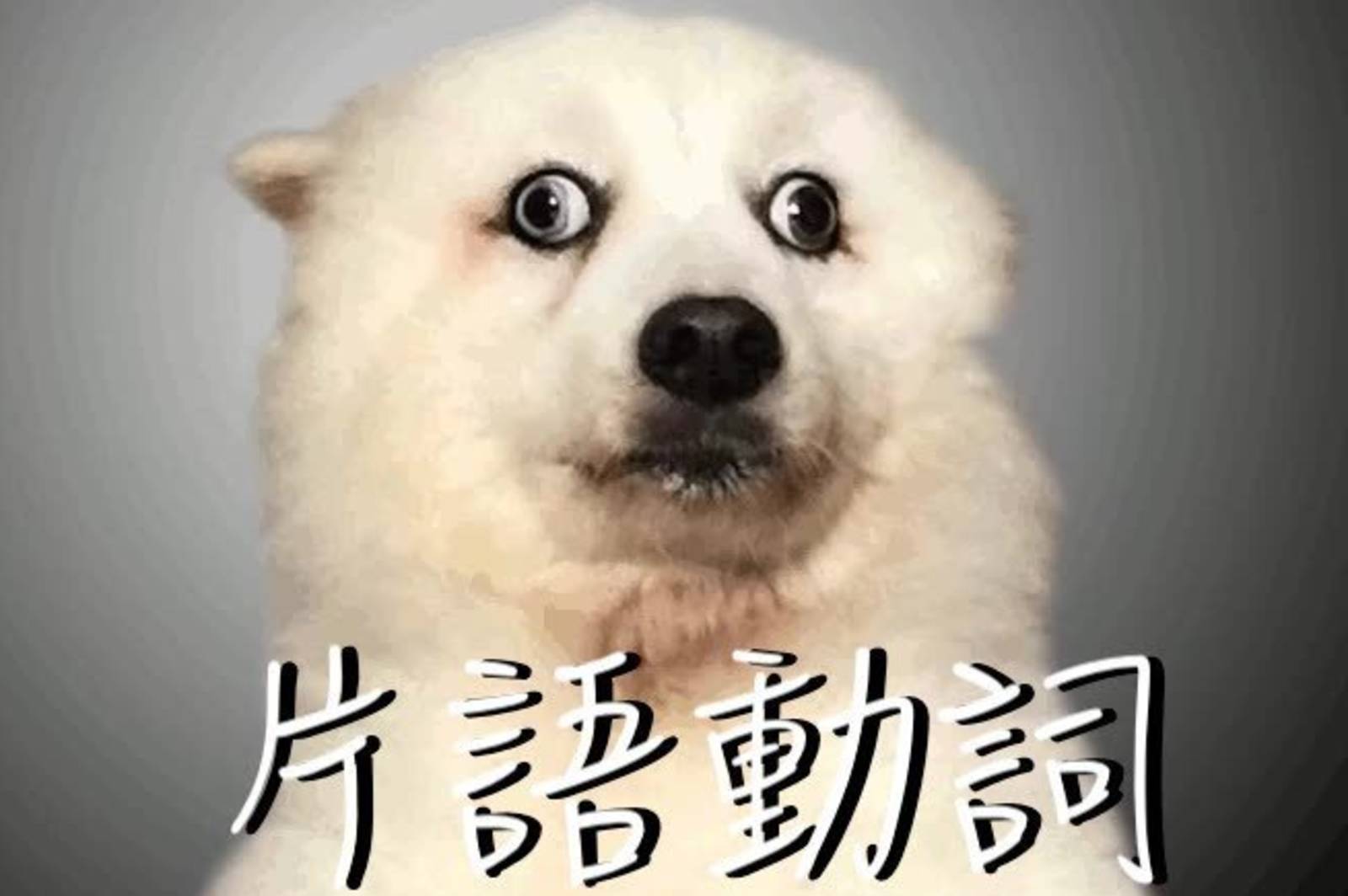 Understanding Phasal Verb 片語動詞知多少 pt.2