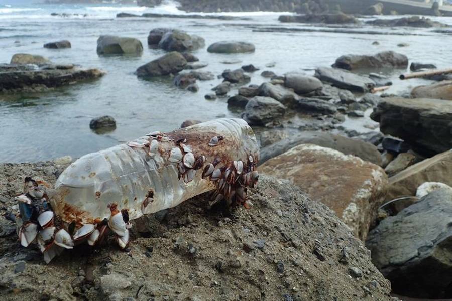 海洋垃圾濃湯