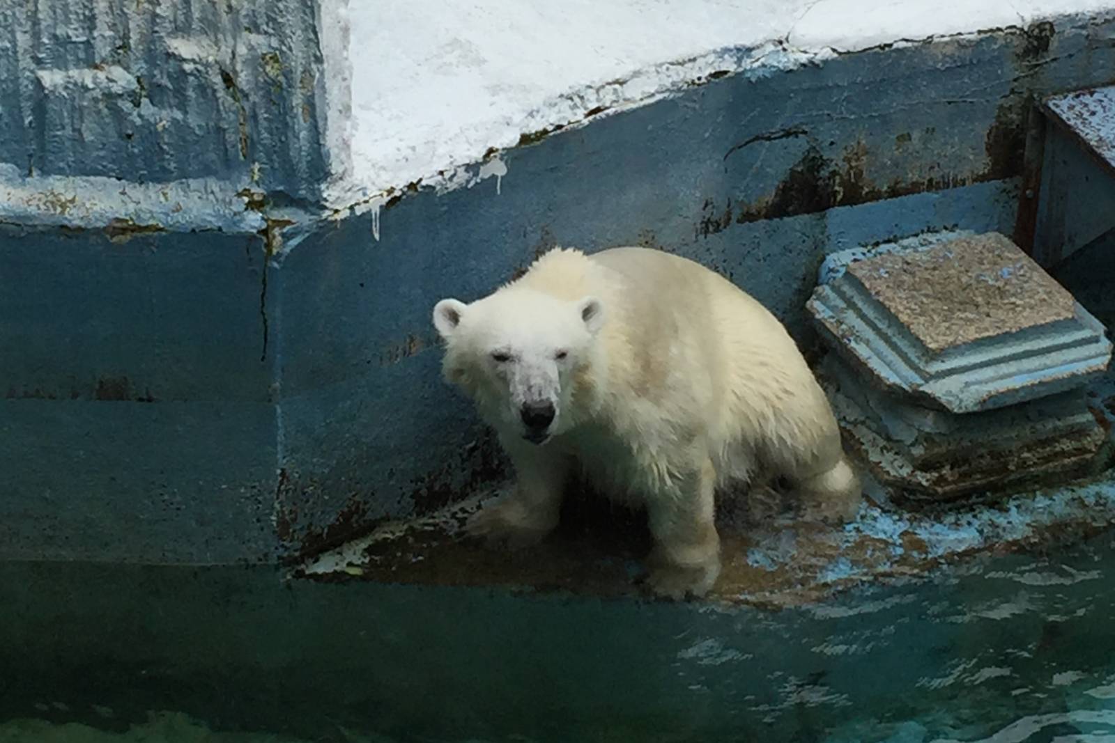 物種消失的危機
