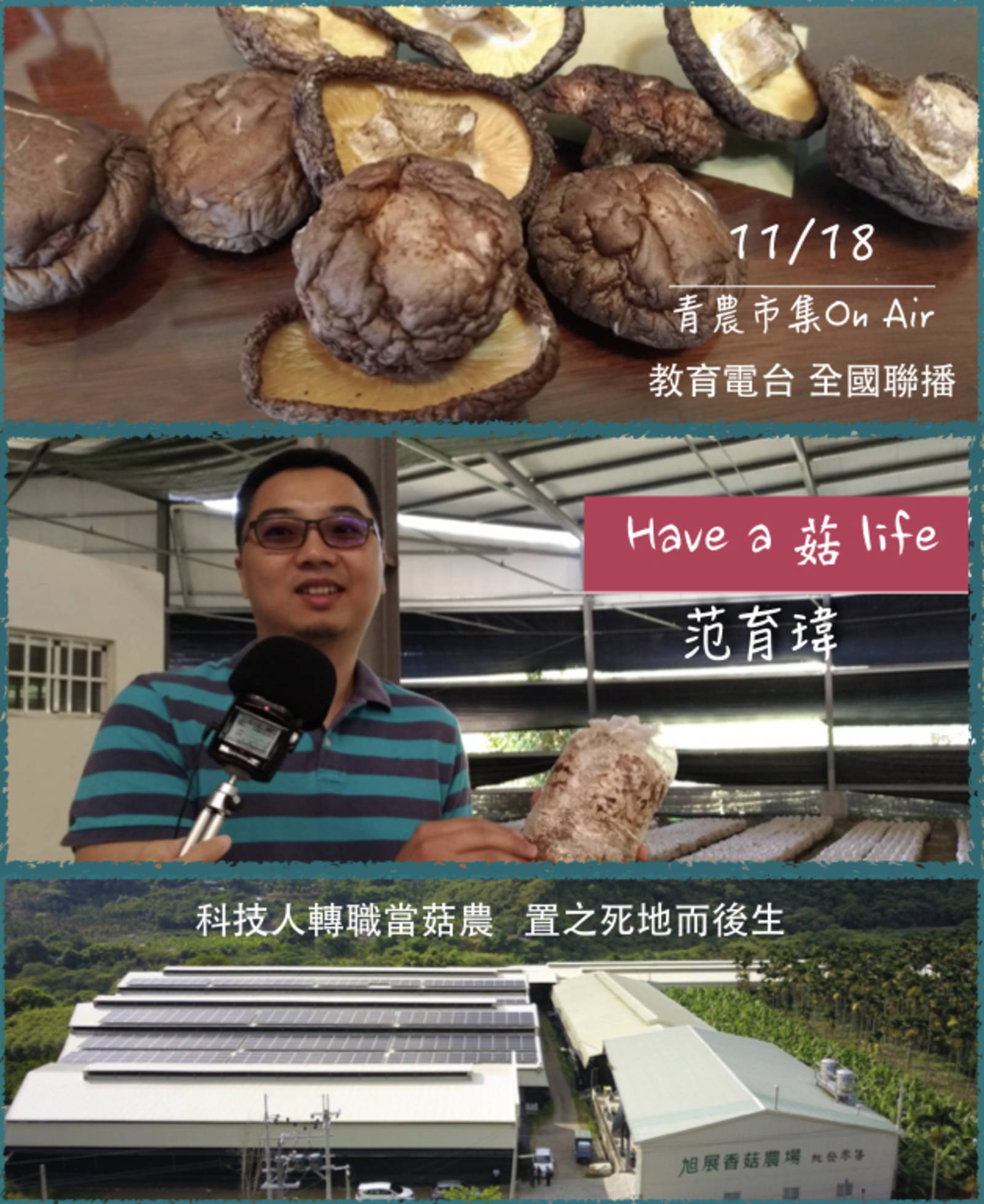 科技人轉職當菇農  置之死地而後生 