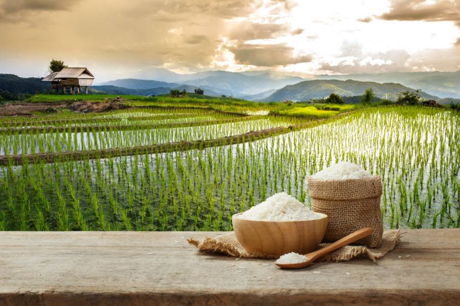 食物旅行 從產地到餐桌