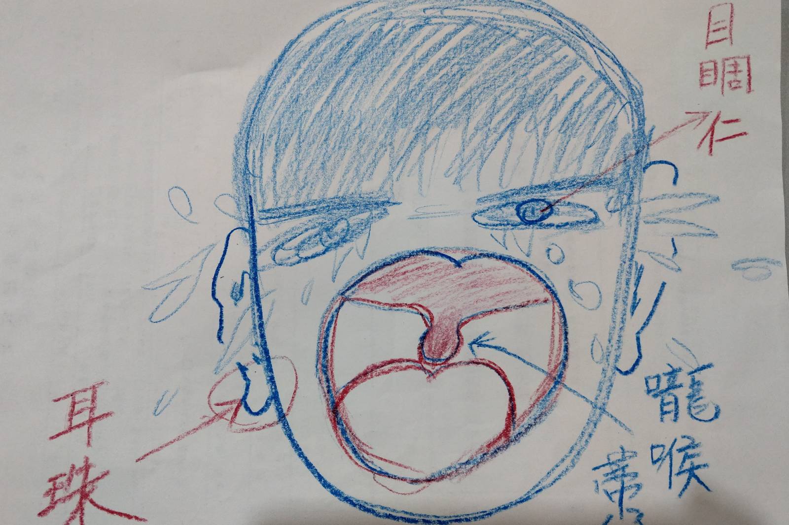 嚨喉蒂仔 耳珠 目睭