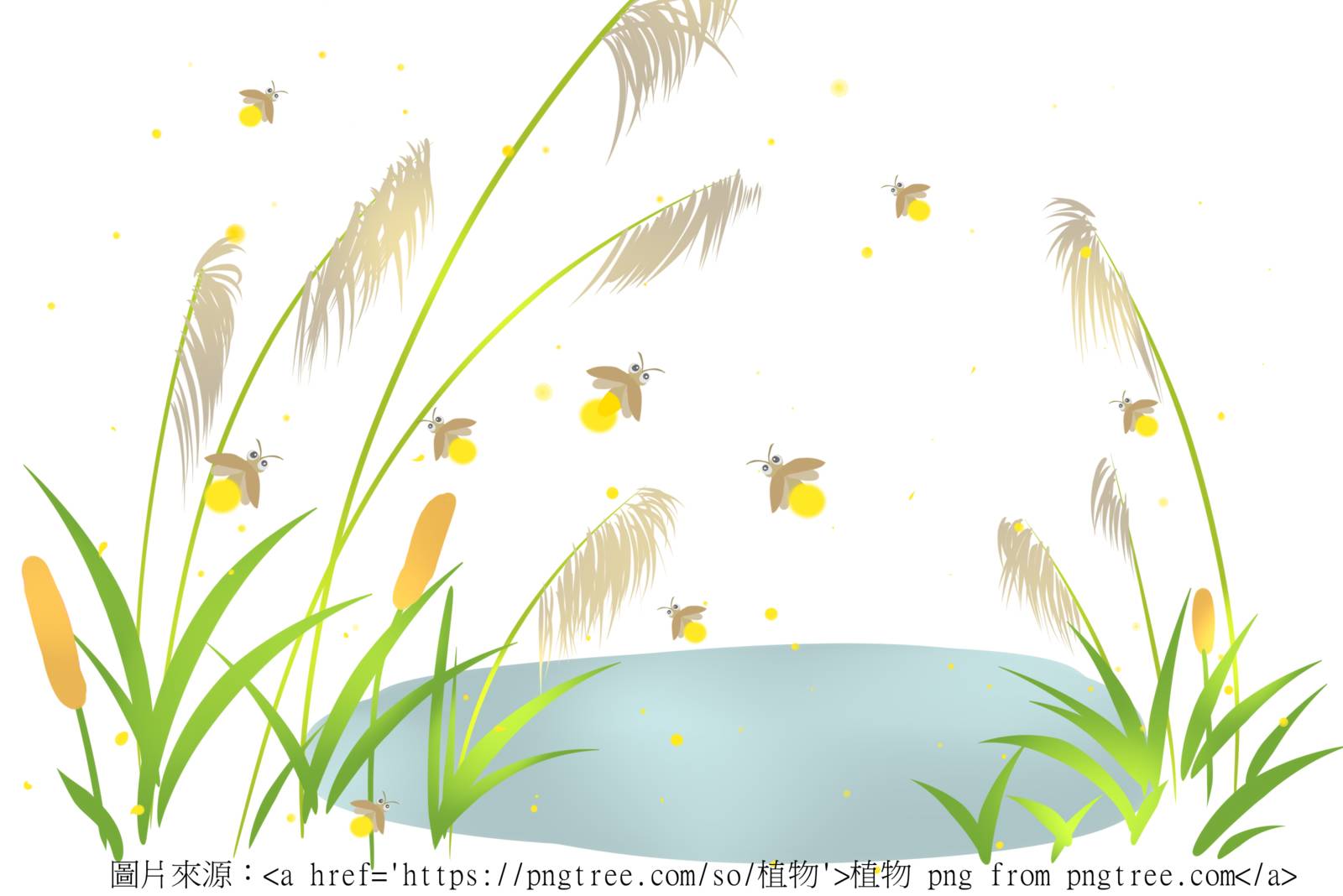 兒歌：火金姑、火金星