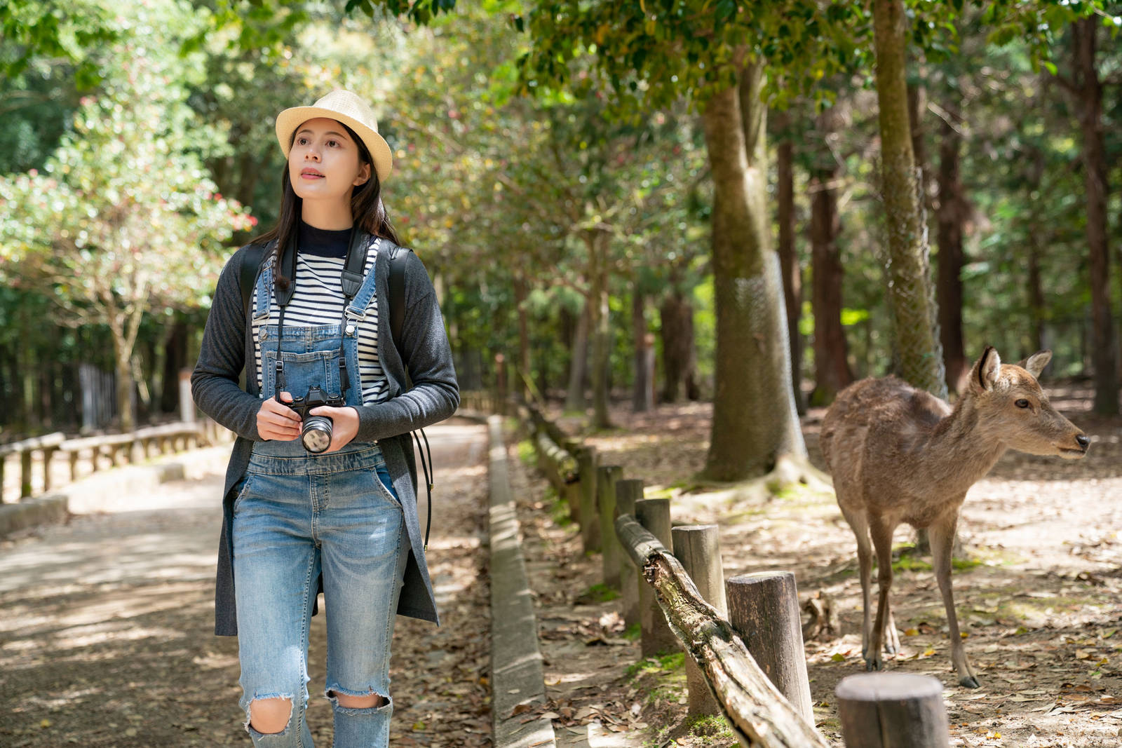 土地與花香-花都開好了