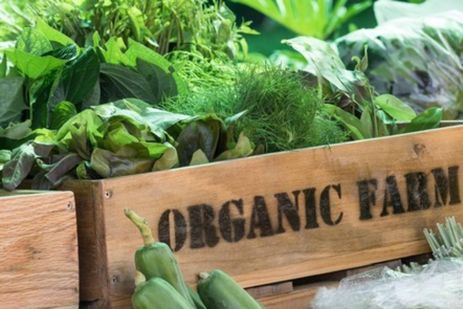 食物碳足跡知多少?