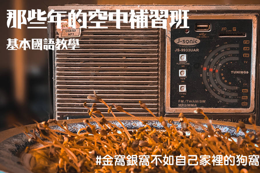 基本國語教學─金窩銀窩不如自己家裡的狗窩