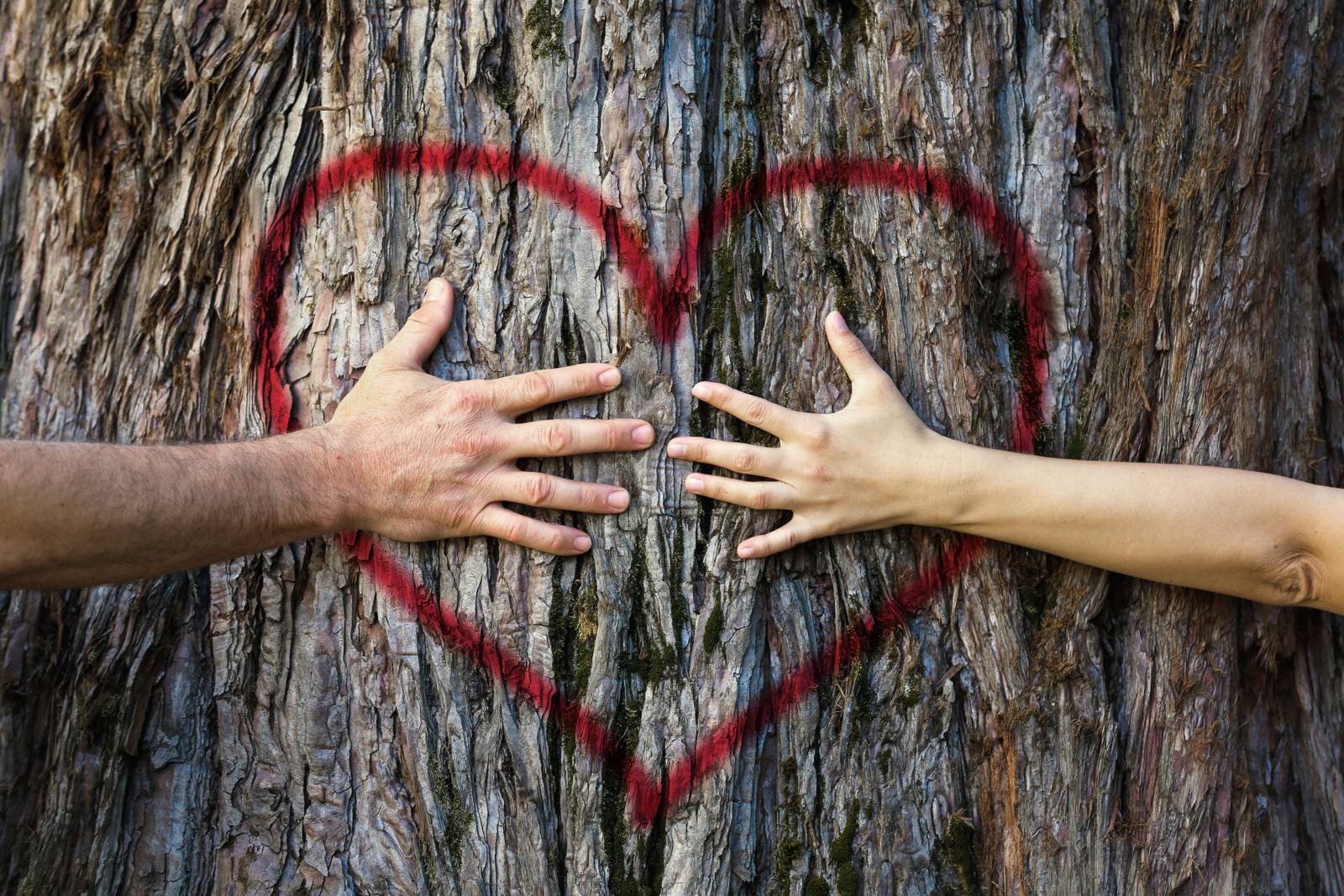 並肩是 彷彿分離，卻又相依