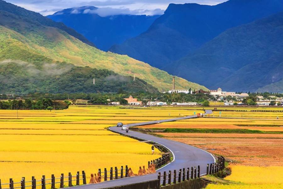 蔣勳《池上日記》