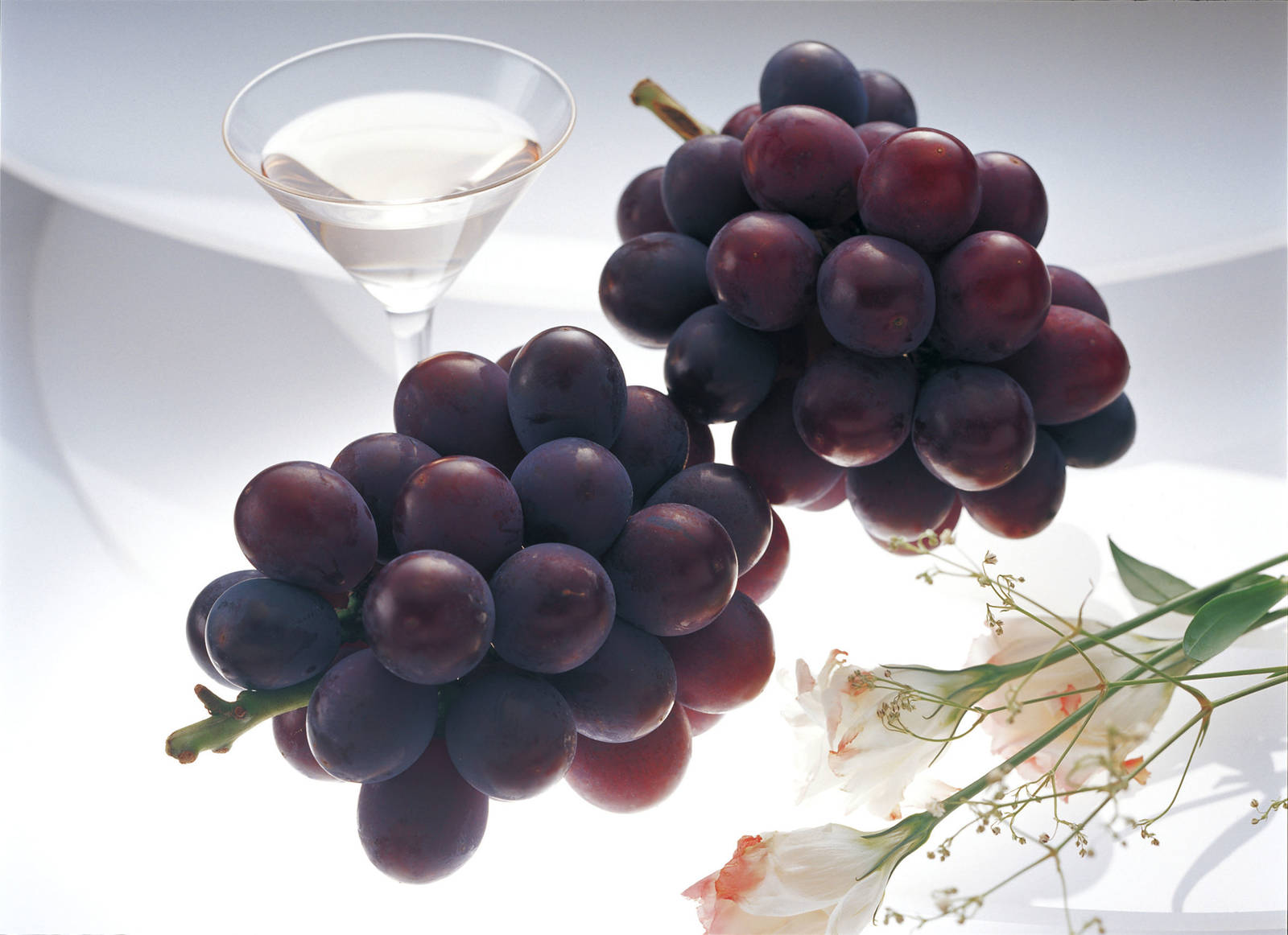 焦桐談飲食文學-巨峰葡萄