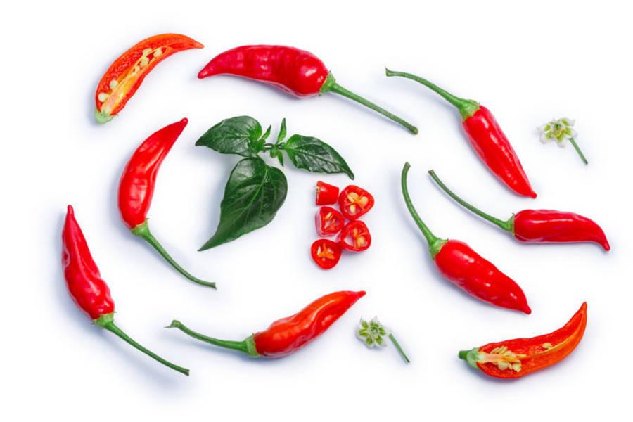 焦桐談飲食文學-辣椒