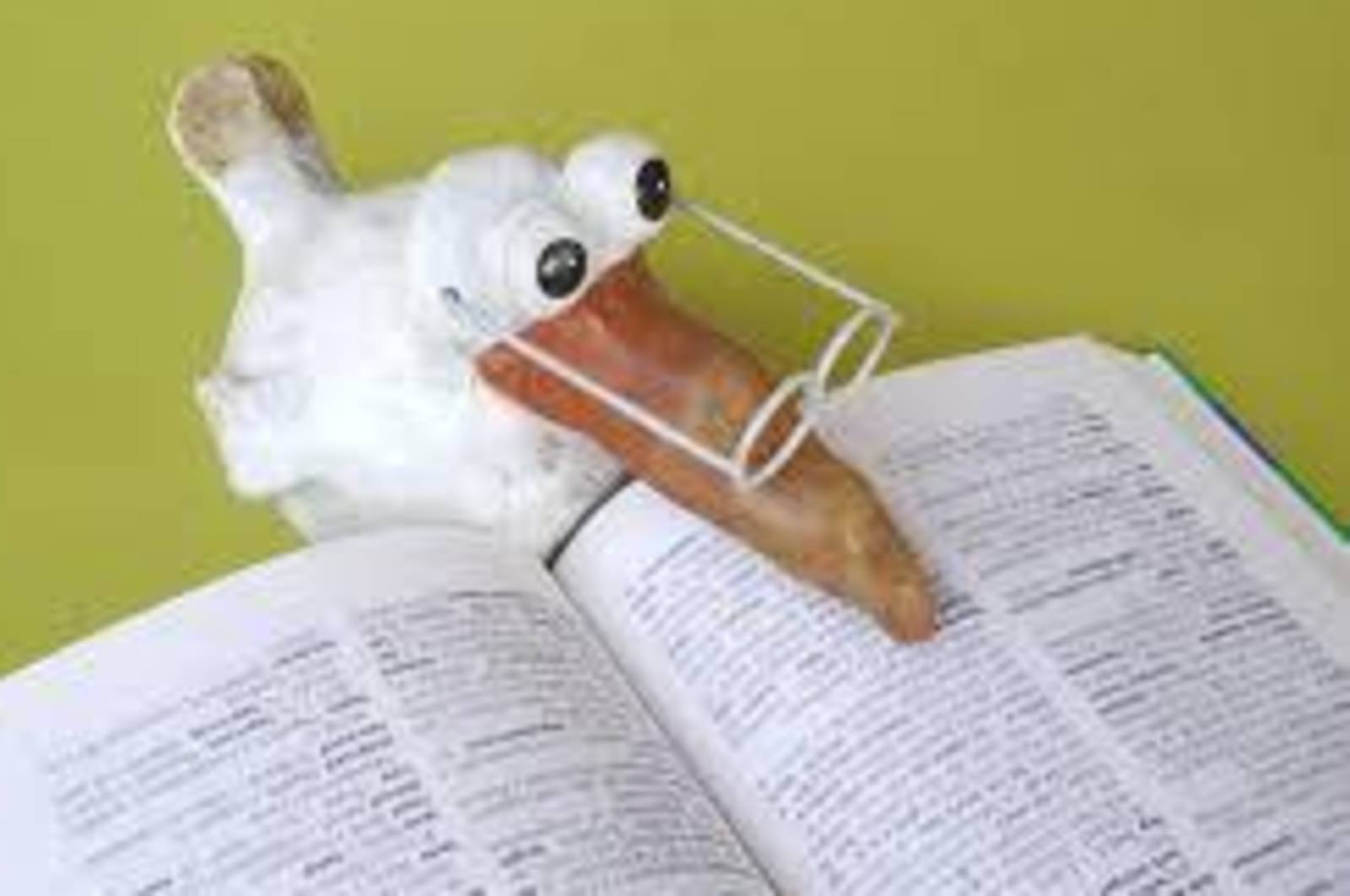 楓樹國小~跟著Ner有聲閱讀趣(上)