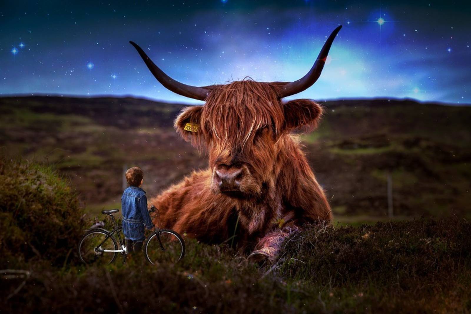 童話故事英文名