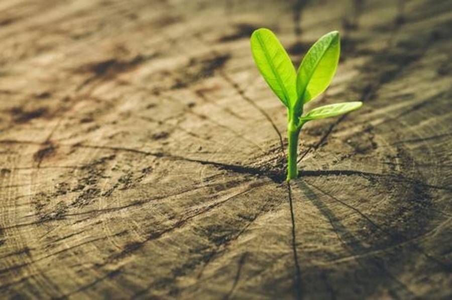 蔣勳《雲淡風輕：談東方美學》