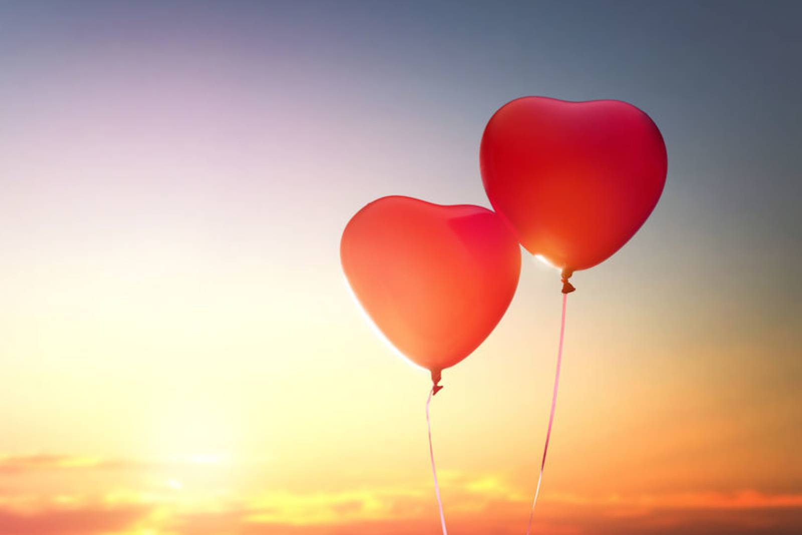 王溢嘉《新編蟲洞書簡》