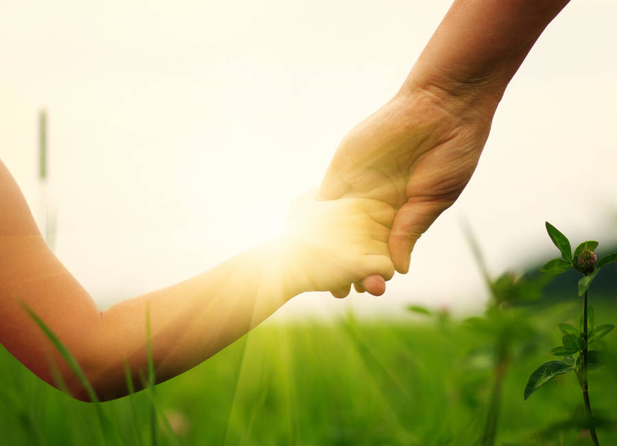 家庭與職場，共創雙贏