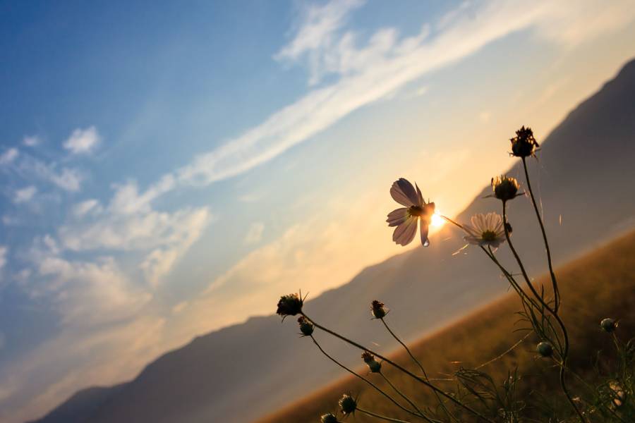 顧城〈遠和近〉