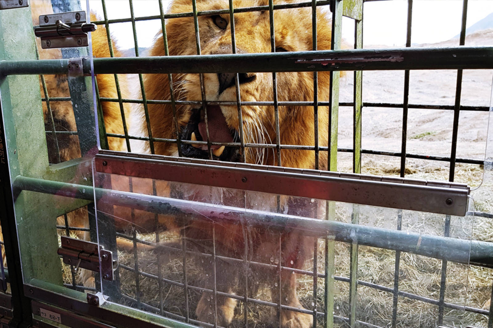 請勿餵食野生動物