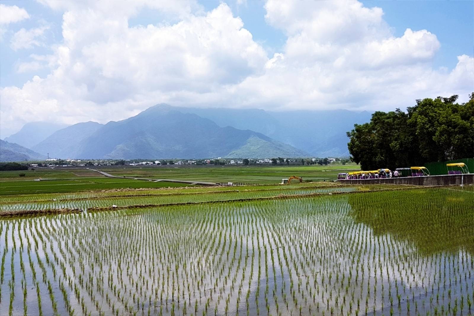 低碳飲食也能守護地球