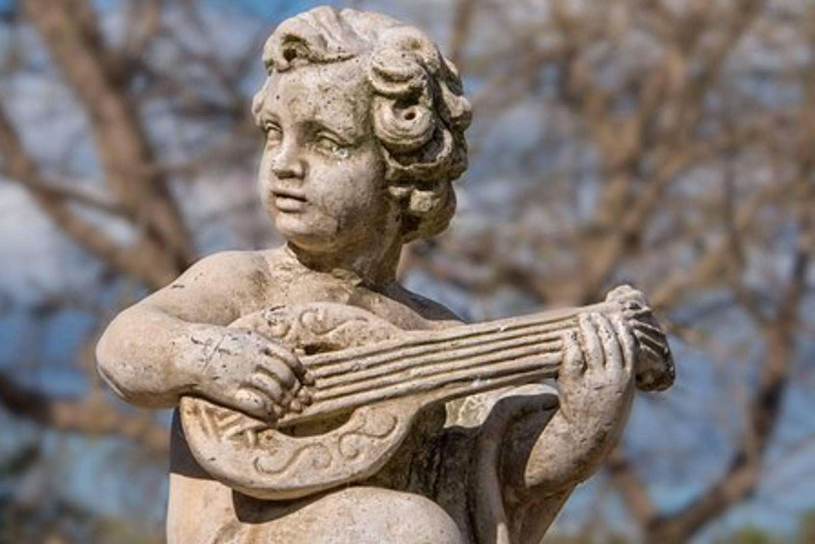 黃鎮炘-琵琶戲桐花