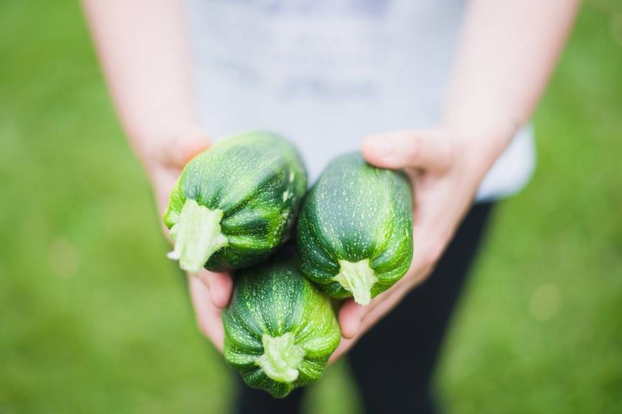 經營休閒農場的辛苦之處