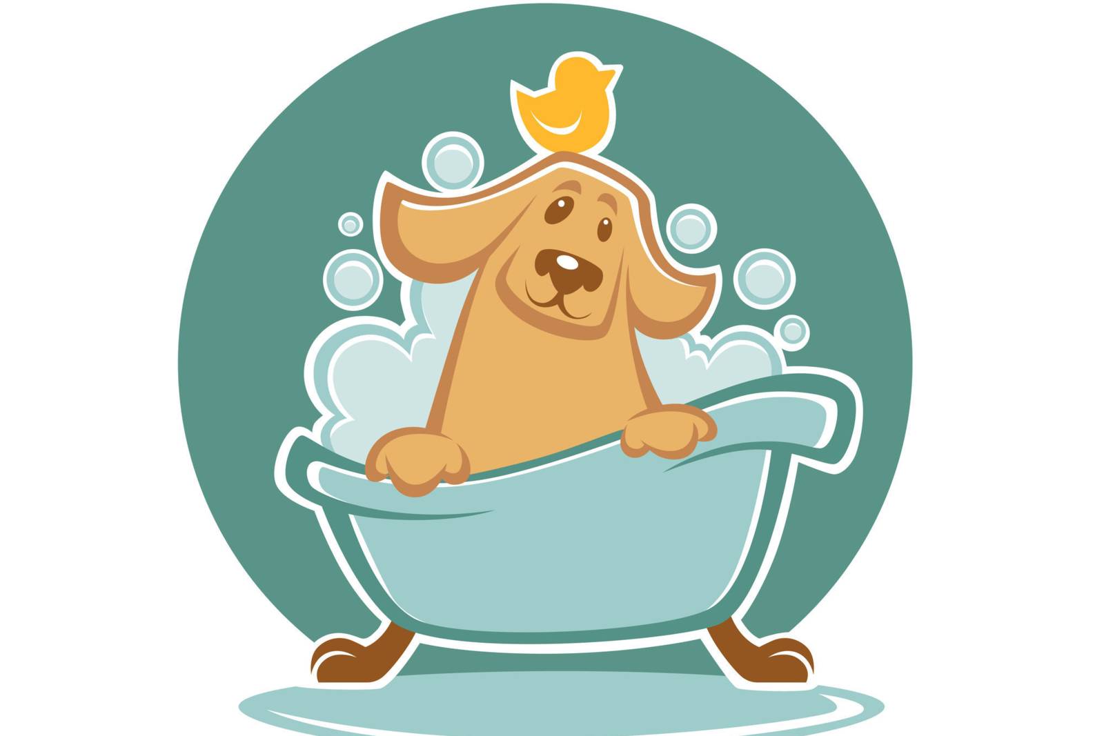 安娜想養一隻狗