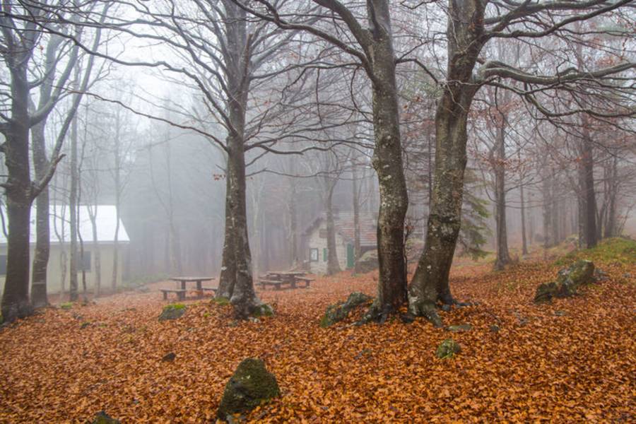 廢文之中有真情-《厭世國文教室》