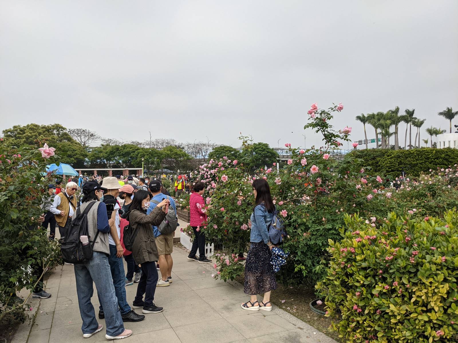 近700家企业亮相第二十三届中国花卉园艺展-去展网