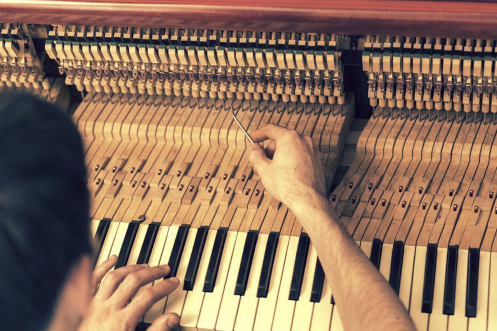 傾訴人、音樂與情感之間的靈魂歸屬-《尋琴者》