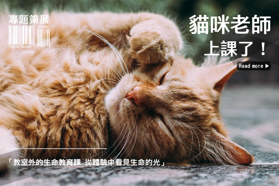 教室外的生命教育課 從體驗中看見生命的光