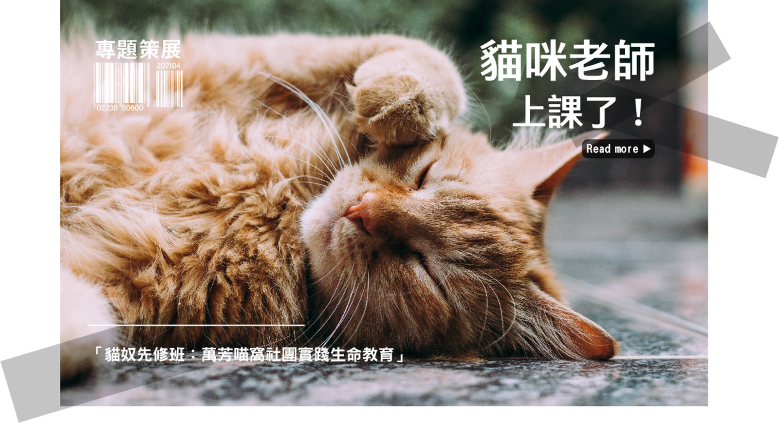 貓奴先修班：萬芳喵窩社團實踐生命教育