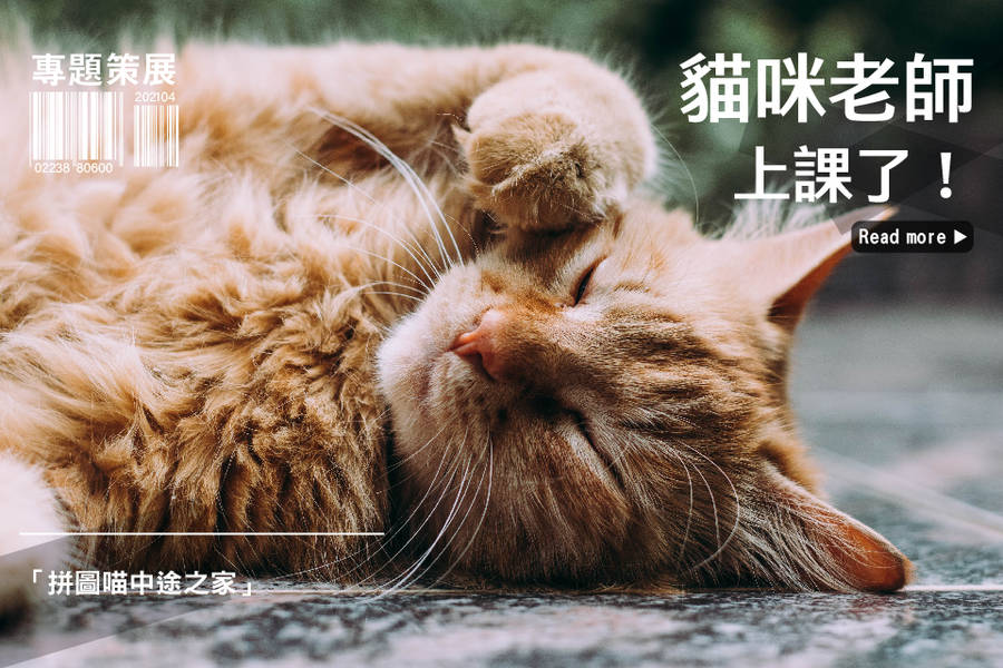 拼圖喵中途之家