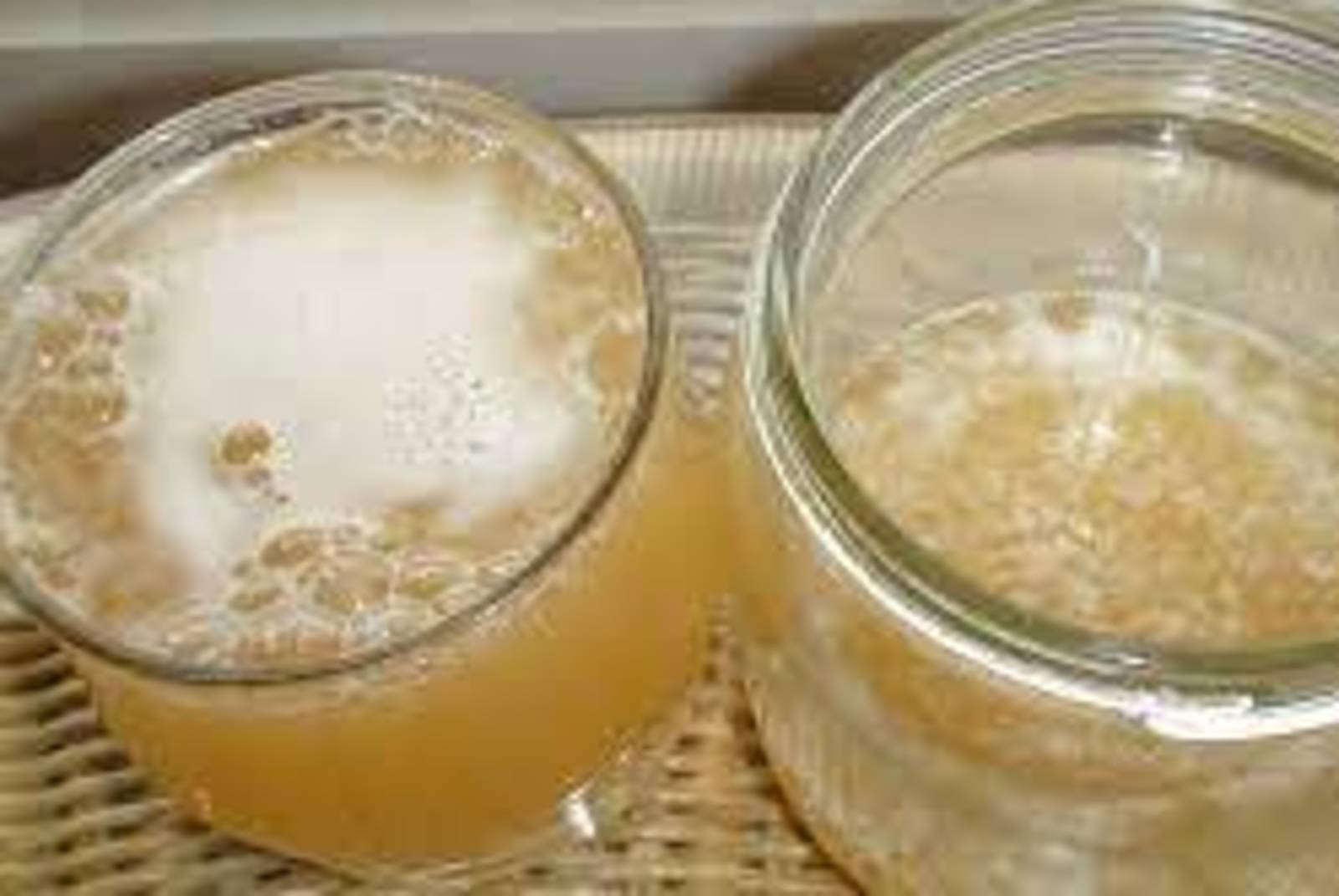 黑酵母菌發酵液