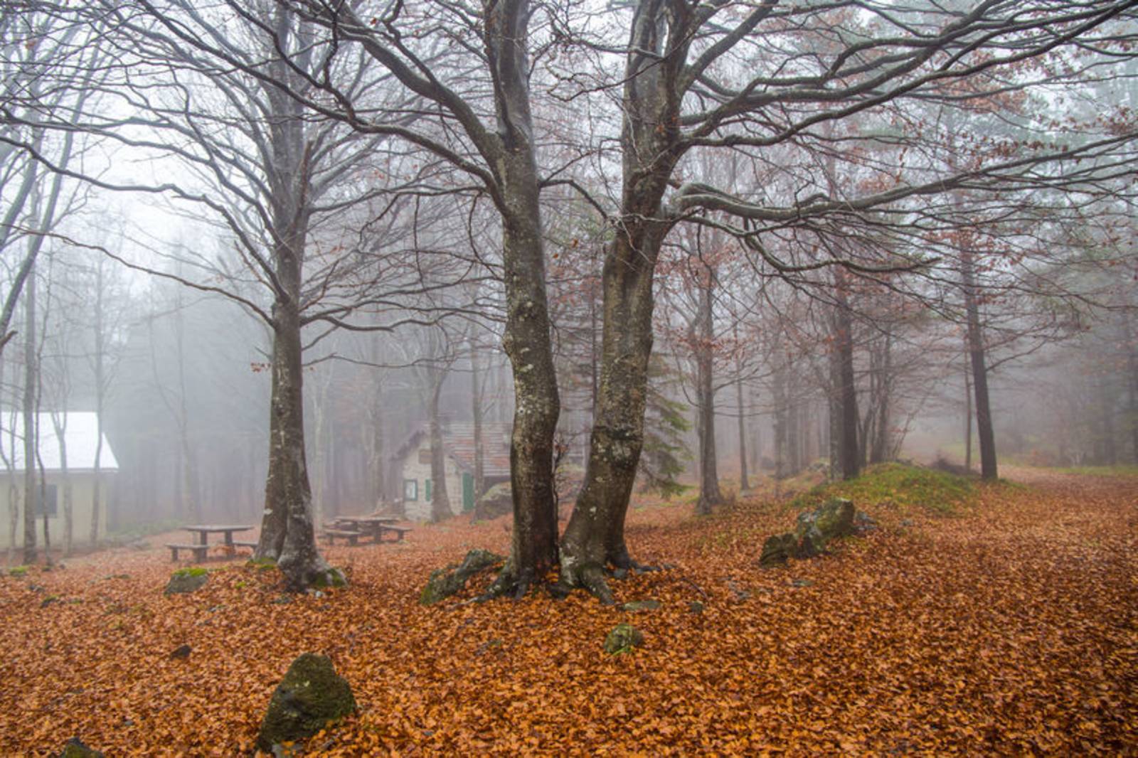 厭世國文老師《厭世國文教室》