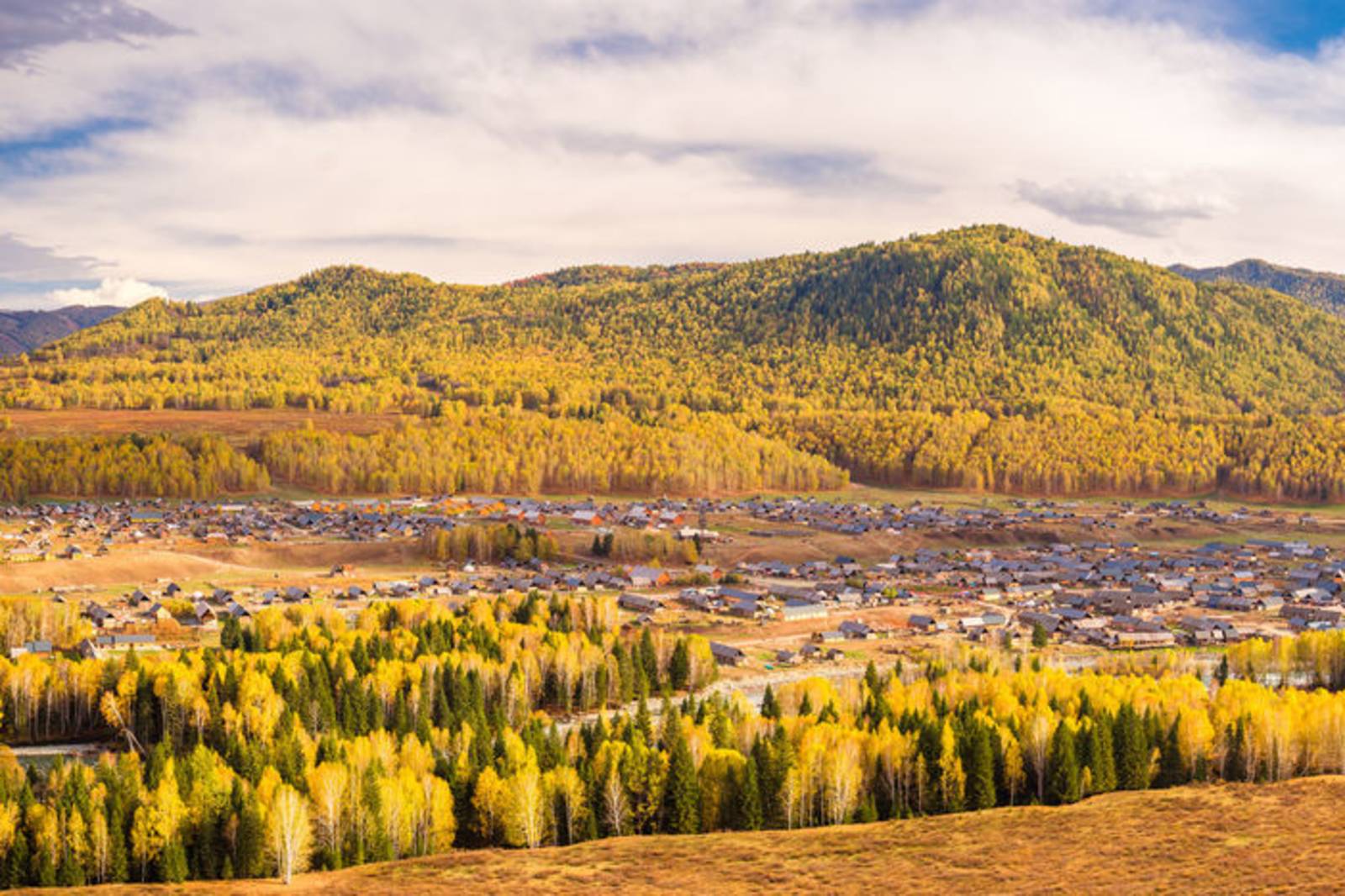 李娟《我的阿勒泰》
