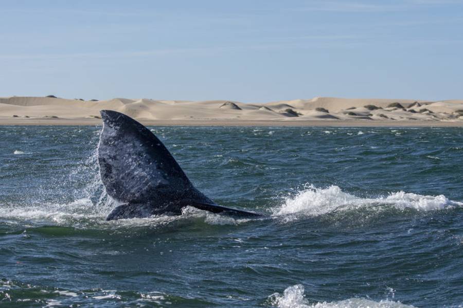 許悔之《不要溫馴地踱入，那夜憂傷》