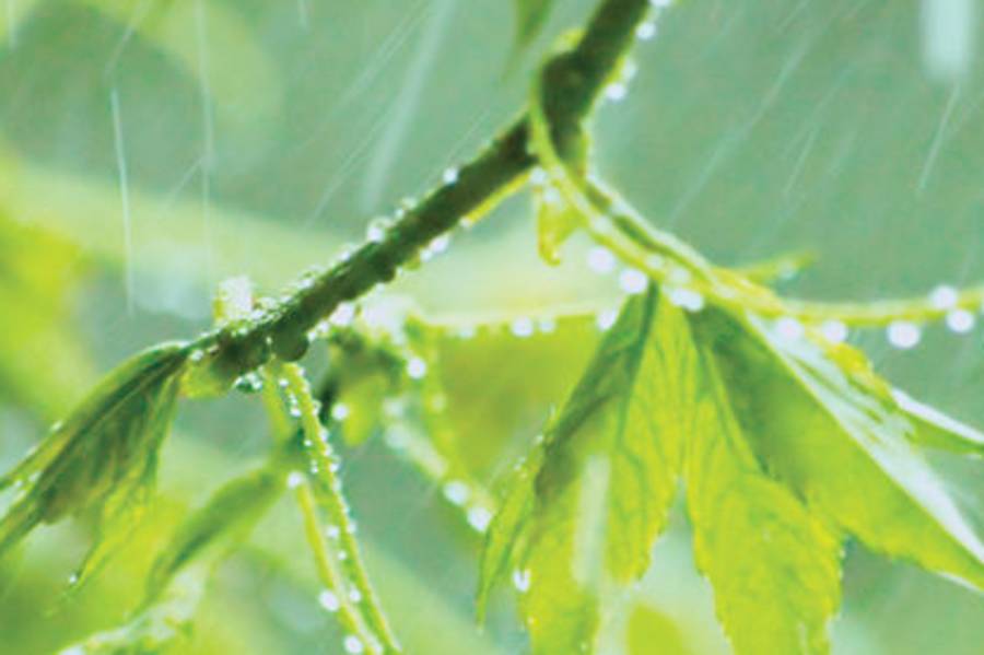 凌性傑《文學少年遊》