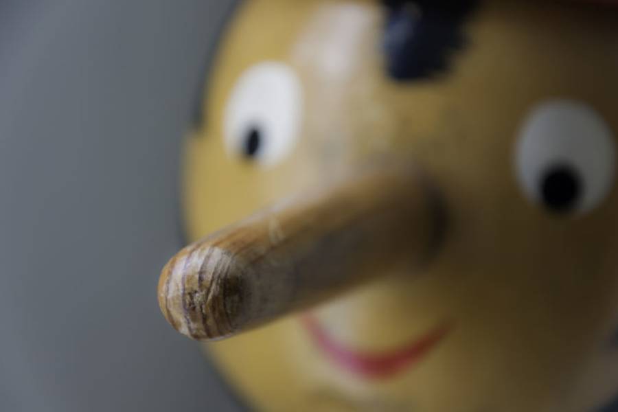 天呀，我的孩子說謊了