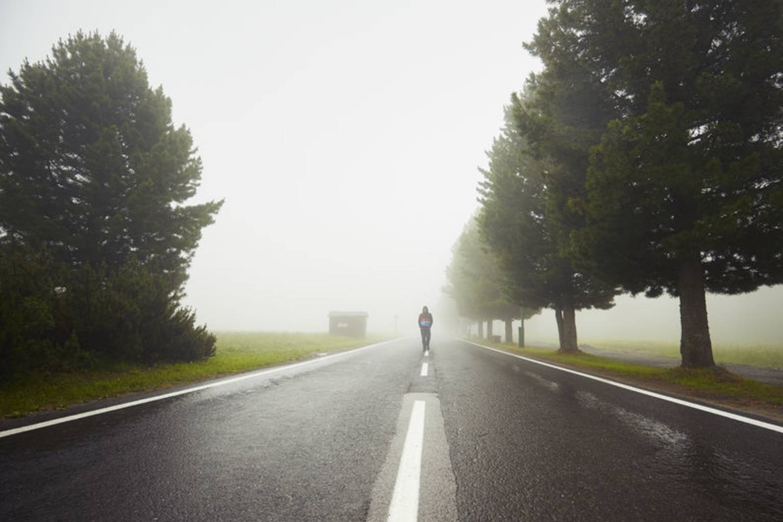 陳雋弘《此刻是多麼值得放棄》