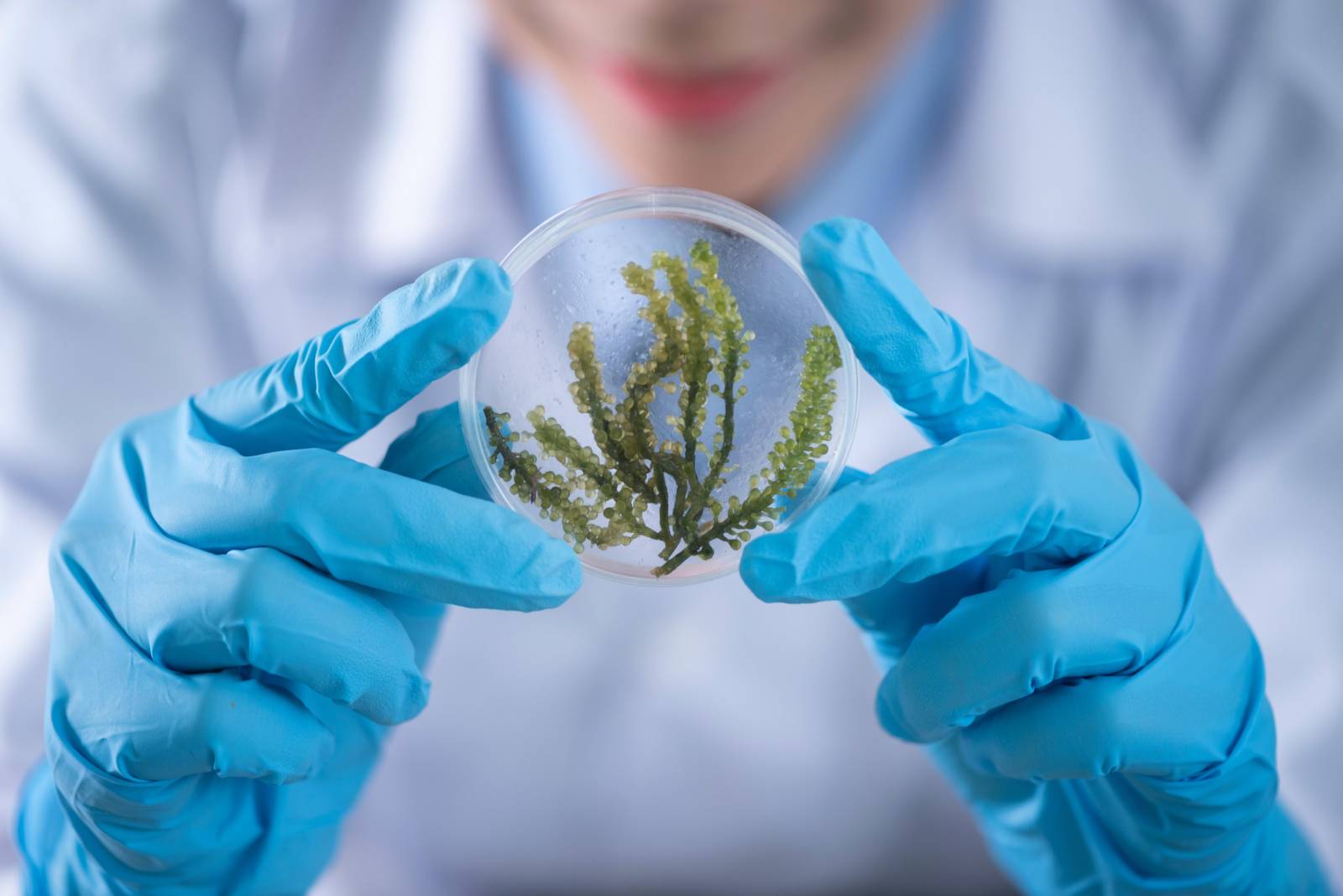 「臺灣清冠一號」研發成果